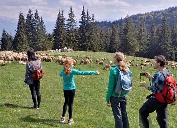 2-Day Transylvania Culture & Hiking Tour from Brașov, photo 3