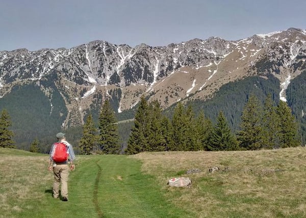 4-Day Carpathian Hiking Tour: Bucegi Mountains & Piatra Craiului National Park gallery 4