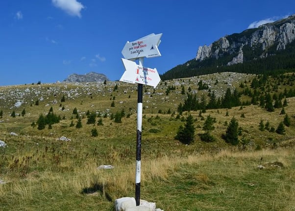 4-Day Carpathian Hiking Tour: Bucegi Mountains & Piatra Craiului National Park gallery 2