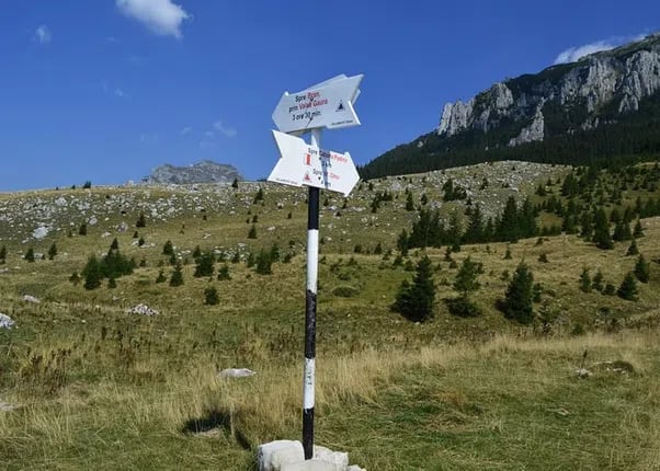 4-Day Carpathian Hiking Tour: Bucegi Mountains & Piatra Craiului National Park, photo 4