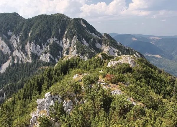 Piatra Craiului National Park Private Hiking Tour from Brașov (Day Hike), photo 3