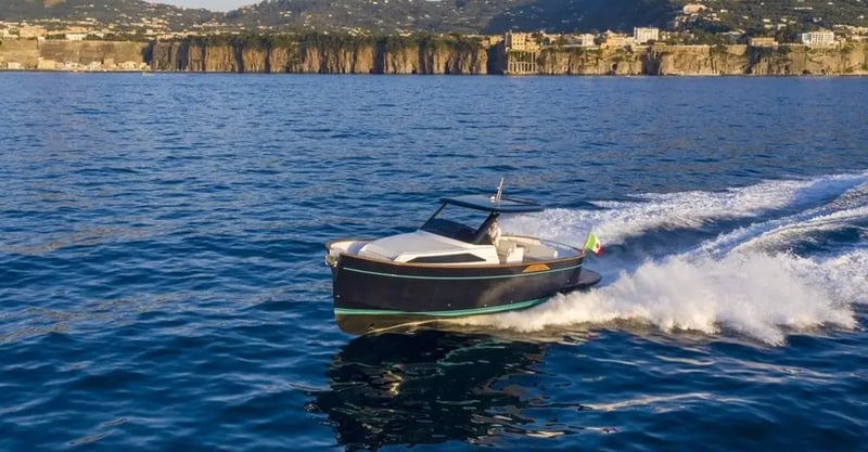 Apreamare 35 Private Boat Trip from Sorrento, photo 2