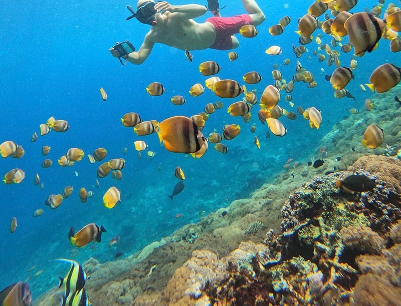 Premium Nusa Penida Private Yacht & Manta Ray Snorkelling Experience from Bali, photo 3