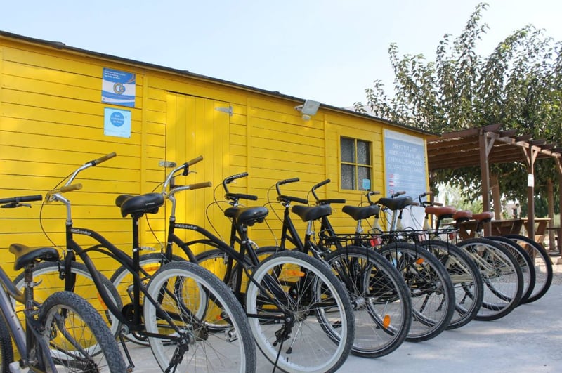 Bicycle Rental in the Delta de l’Ebre, photo 3