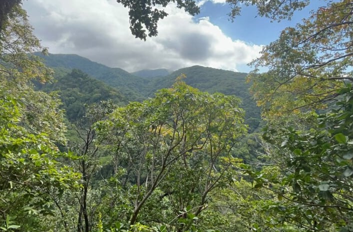 Wingfield Rainforest and Romney Hike in St Kitts gallery 4