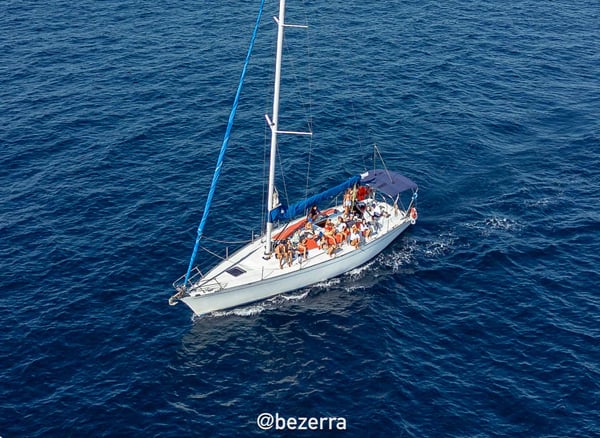 Whale Watching Sailing Expedition in Rio (Seasonal – 5 Hours), photo 2