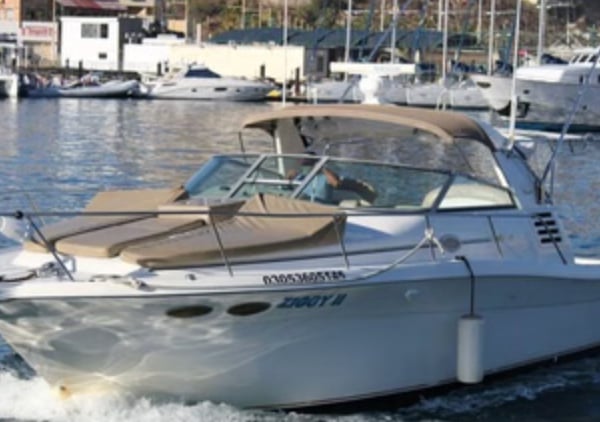 Cabo Private 36ft Yacht Charter to El Arco with Snorkelling (Up to 10 Guests), photo 2