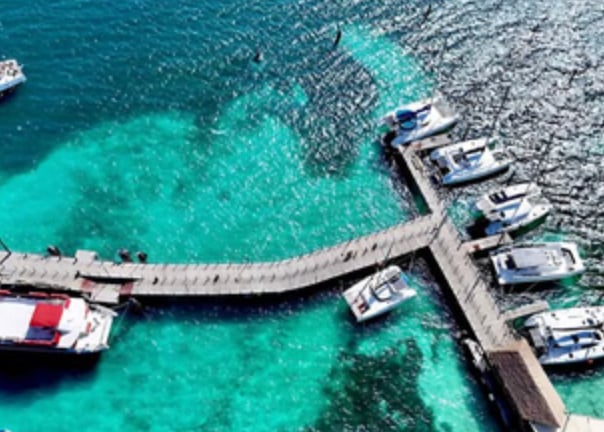 Cancún 4-Hour Private Catamaran with Open Bar & Reef Snorkelling, photo 2