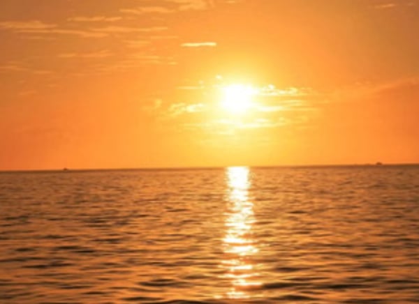 Cabo Sunset Catamaran Cruise to El Arco with Open Bar, photo 4