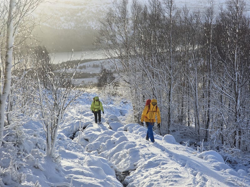 Guided Winter Mountain Walking in Scotland, photo 2