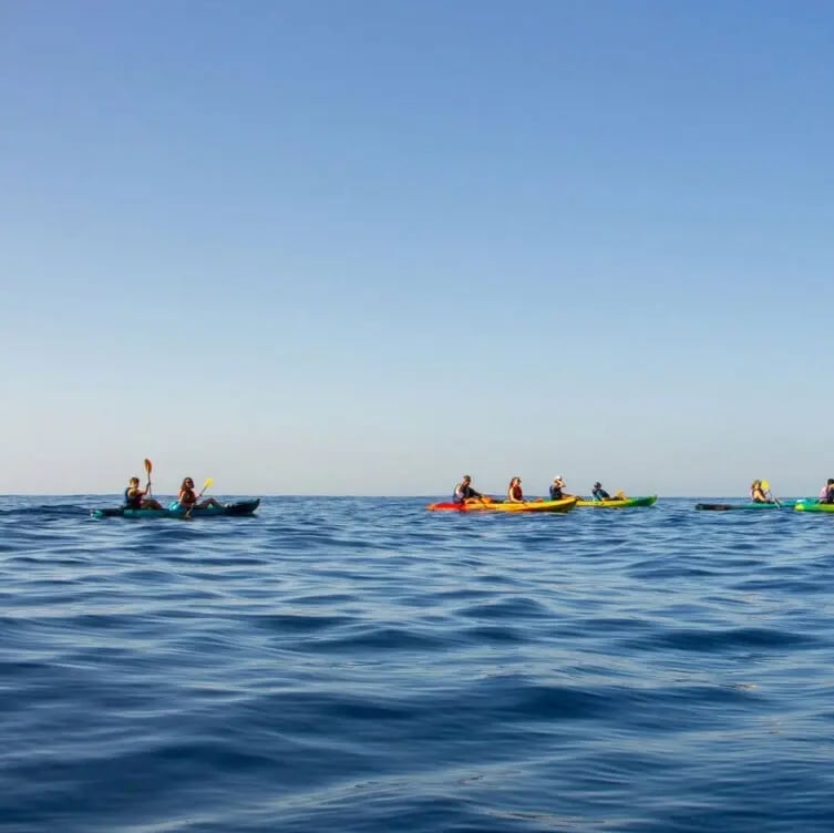 Morning Sea Kayaking Sporty Adventure in the Calanques gallery 4
