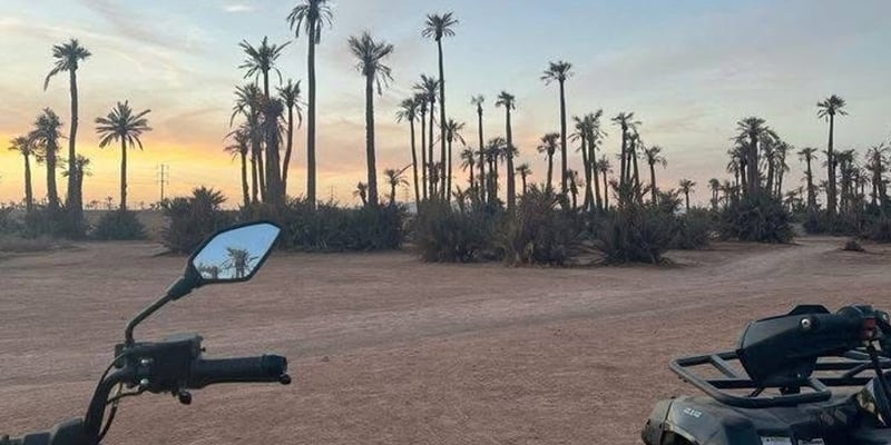 Marrakech Palm Grove Quad Adventure, photo 4
