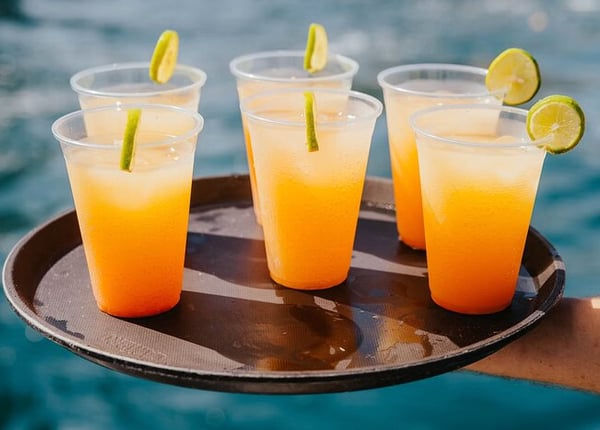 Los Cabos Private Sunset Catamaran Cruise with Open Bar, photo 5