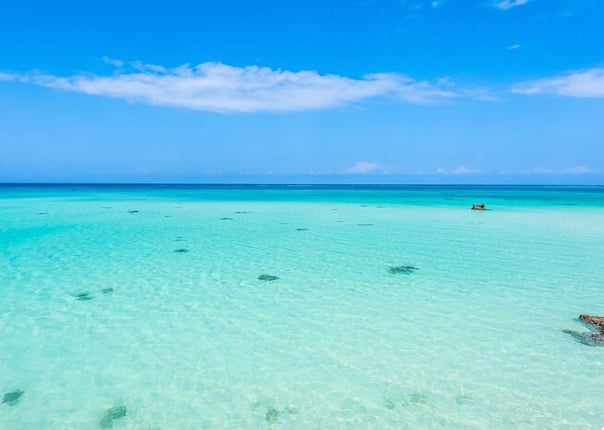 Mnemba Island Private Boat Snorkeling and Dolphin Tour, photo 2