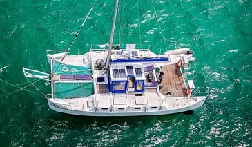 Mnemba Island Private Catamaran Cruise with Lunch and Open Bar, photo 5