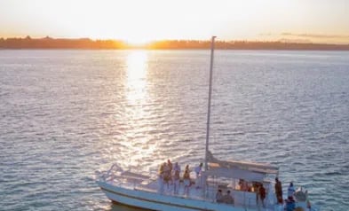 Private Punta Cana Sunset Cruise with Champagne and BBQ, photo 3