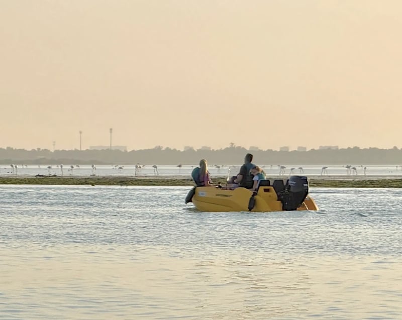 Self-Drive Boat Tour with Audio Guide in Yas Island, Abu Dhabi, photo 2