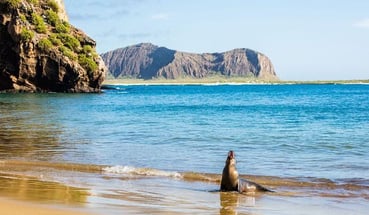5-Day Galapagos Multisport Adventure – Biking, Hiking and Snorkelling gallery 2