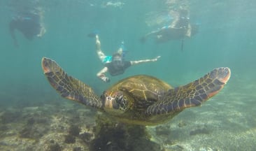 5-Day Galapagos Multisport Adventure – Biking, Hiking and Snorkelling gallery 3