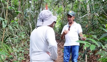 Guided Amazon Forest Trek from Manaus, photo 2