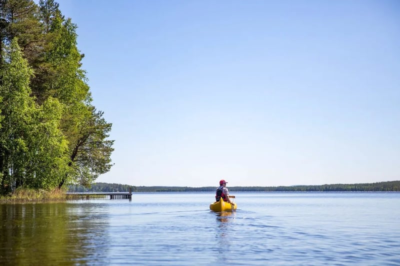 Lapland Canoe Trip in Rovaniemi gallery 3