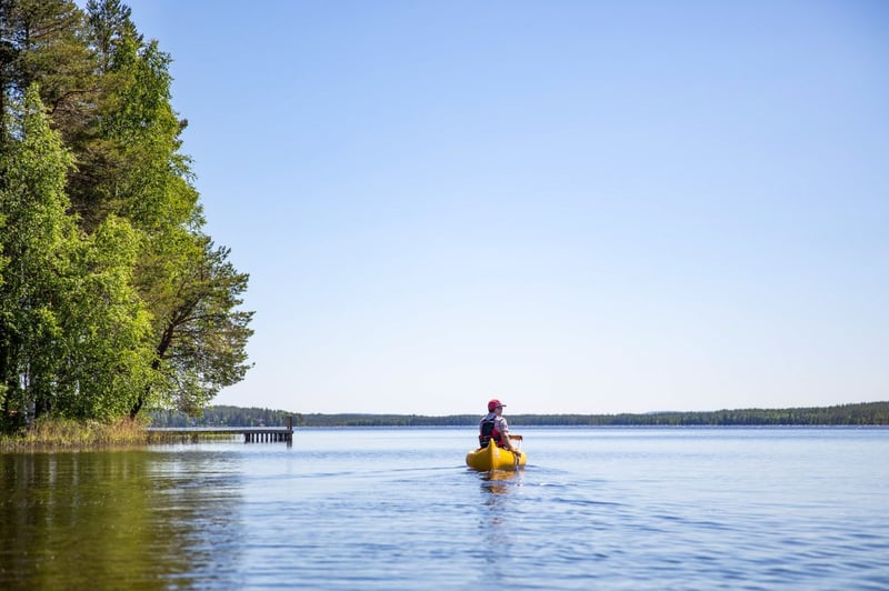 All Day Canoe Adventure to Rovaniemi, photo 2