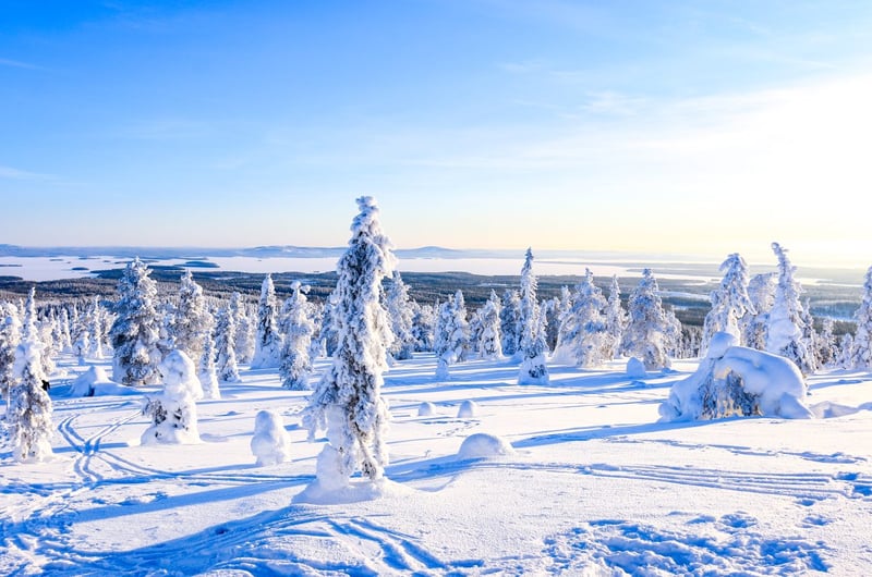 Arctic Adventure through Magical Frozen Forests of Riisitunturi, photo 4