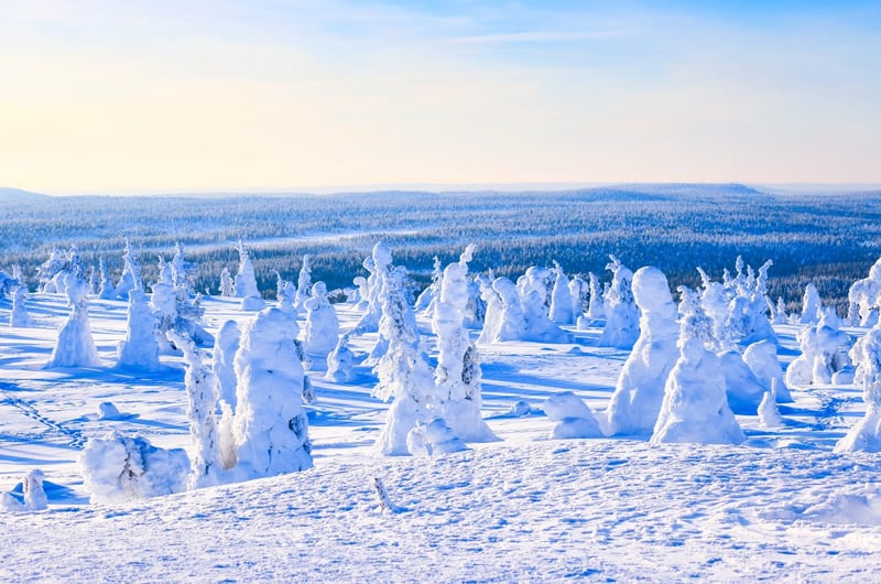 Arctic Adventure through Magical Frozen Forests of Riisitunturi, photo 2