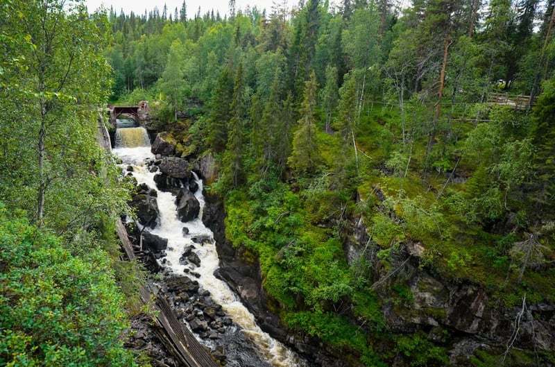 Auttiköngäs Wilderness Hike in Rovaniemi, photo 2