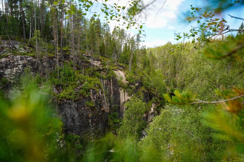 Auttiköngäs Wilderness Hike in Rovaniemi gallery 6