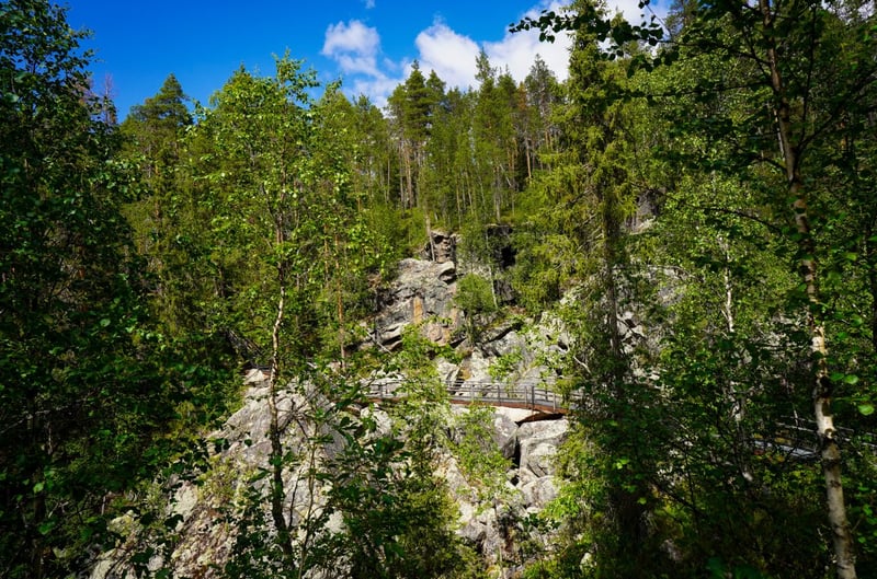 Auttiköngäs Wilderness Hike in Rovaniemi gallery 7