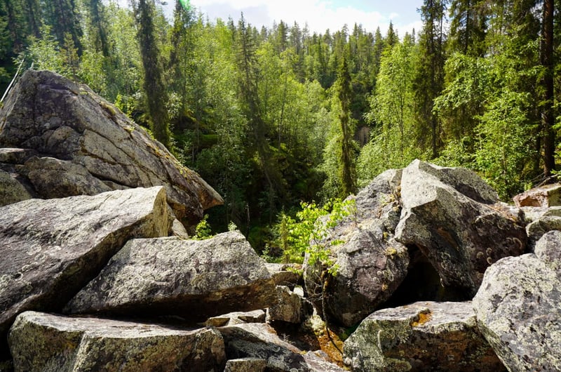 Auttiköngäs Wilderness Hike in Rovaniemi gallery 8