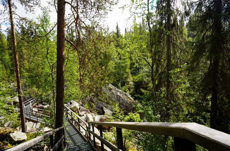 Auttiköngäs Wilderness Hike in Rovaniemi, photo 5