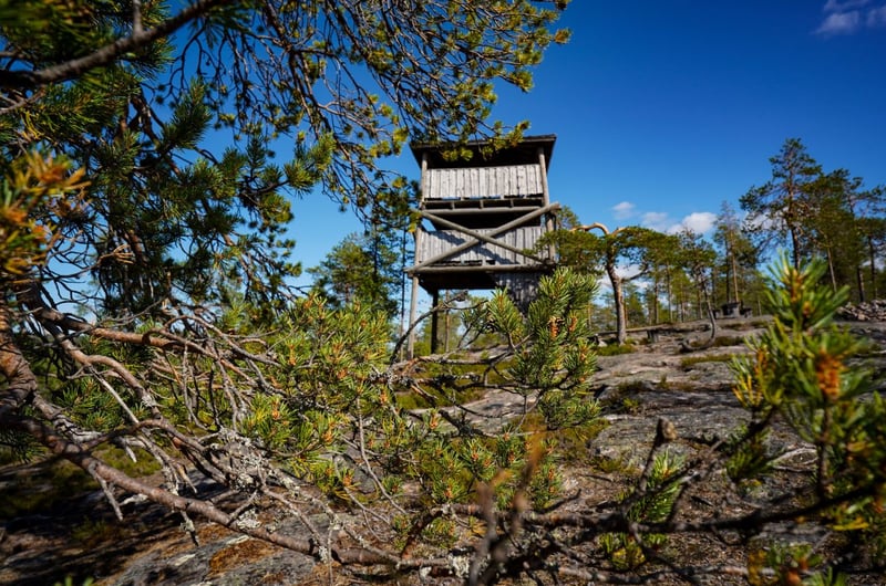 Auttiköngäs Wilderness Hike in Rovaniemi gallery 3