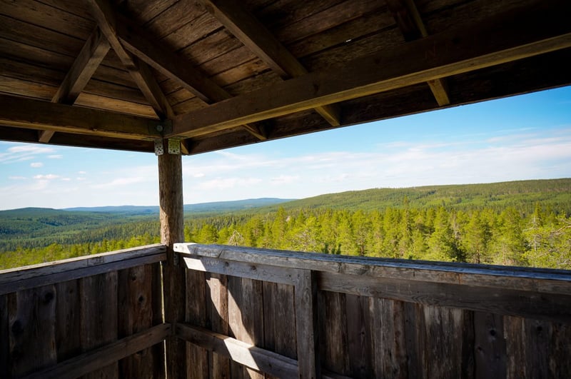 Auttiköngäs Wilderness Hike in Rovaniemi gallery 4