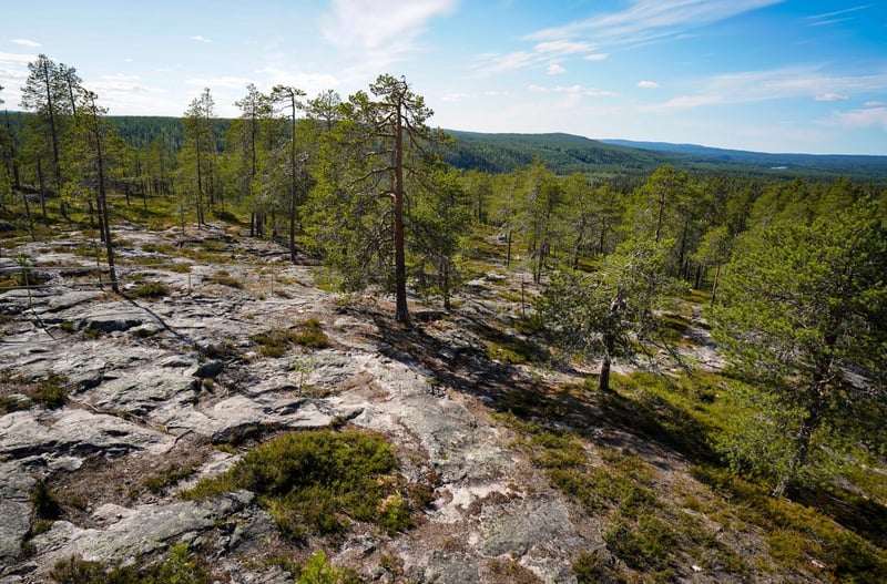 Auttiköngäs Wilderness Hike in Rovaniemi gallery 5