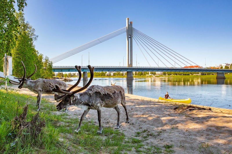 Cultural Canoe Trip around Rovaniemi, photo 3