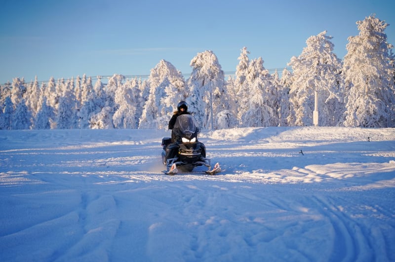 Family Friendly Snowmobile Safari in Rovaniemi, photo 4