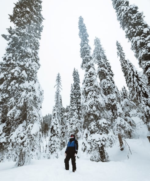 Family Friendly Frozen Waterfalls Tour from Rovaniemi, photo 2