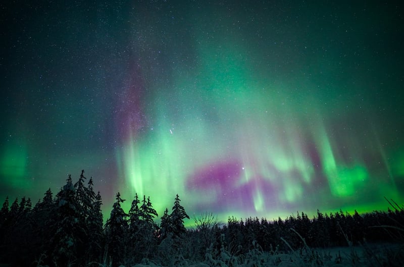 Night Snowshoeing Adventure under the Northern Lights gallery 4
