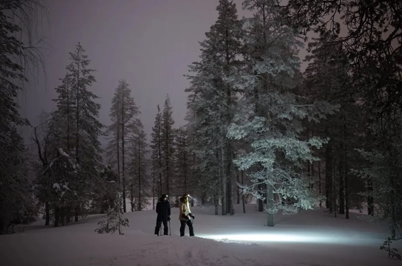 Ski Trekking under the Northern Lights in Rovaniemi gallery 2