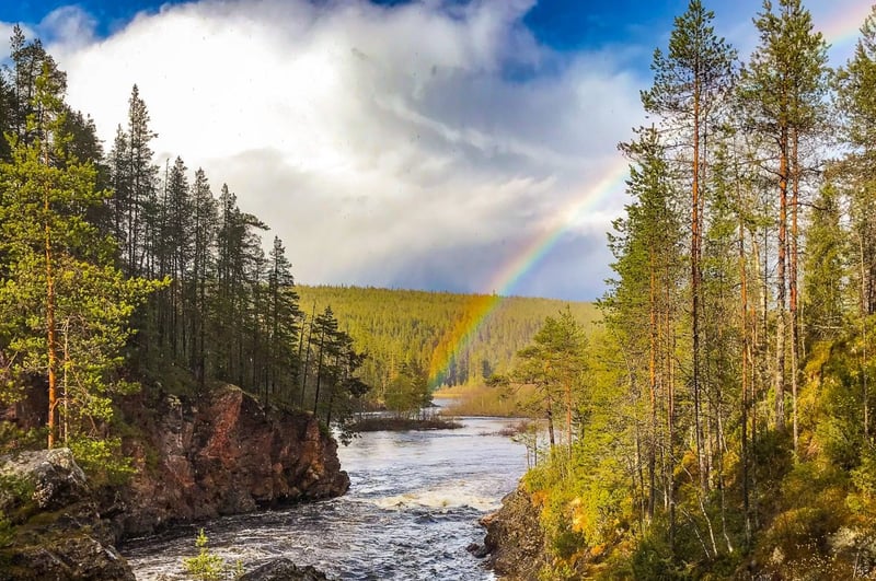Summer and Autumn Wilderness Survival Tour in Rovaniemi, photo 2