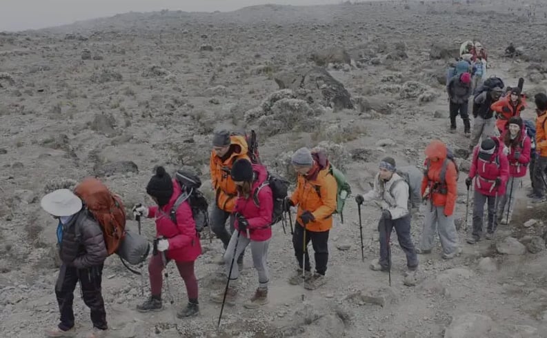 6 Day Kilimanjaro Trek – Marangu, Umbwe or Machame Routes, photo 4