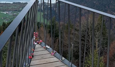 Guided Harder Kulm Mountain Walk with Lake Views, photo 2