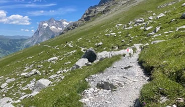 Eiger Trail Hike to Kleine Scheidegg Beneath the North Face, photo 3