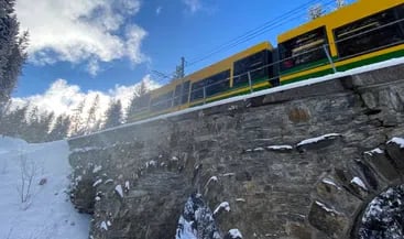 Wengen to Kleine Scheidegg Guided Jungfrau Region Alpine Hike, photo 4