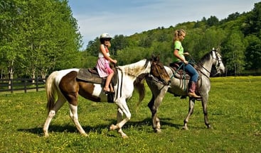 Private Zipline and Horseback Riding Tour from San Jose, photo 2
