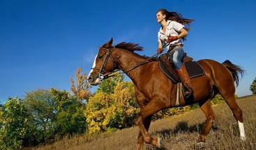 Private Zipline and Horseback Riding Tour from San Jose, photo 5