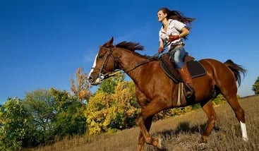 Whitewater Rafting and Horseback Riding Private Tour from San Jose gallery 3