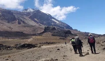 6-Day Kilimanjaro: Umbwe Route - Steep Ascent Trek to Uhuru Peak, photo 2